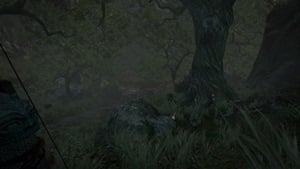 witchwood locations dragons dogma wiki guide 300px